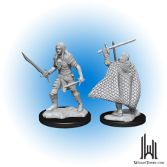 Pathfinder Deep Cuts Unpainted Miniatures: Elf Figher Male